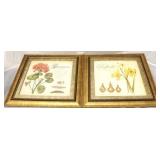 Geranium & Daffodil framed prints