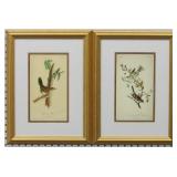 2 Birds by John J Audubon