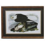 White Headed Eagle by John J. Audubon
