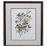 Warblers by John J. Audubon