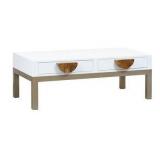 Stein World Slice 2 drawer coffee table