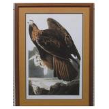 Golden Eagle by John J. Audubon