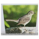 Canvas Bird Print