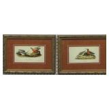 2X Antique Birds by John J. Audubon