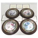4 Hummingbird framed collector plates