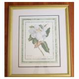 "Magnolia" framed print