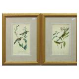 Set of 2 Antique Birds by John Audubon