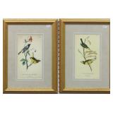 Set of 2 Antique Birds by John Audubon