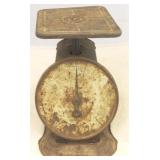 Blue Ribbon Kitchen Scale