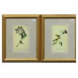 Set of 2 Antique Birds by John Audubon