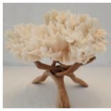 Coral w/ wood Stand
