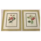 Pair of Floral Framed Floral Prints