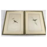 Pair of bird framed pictures