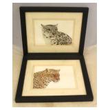 Pair Cat prints