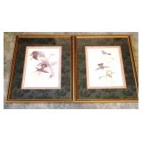 Pair Framed Prints
