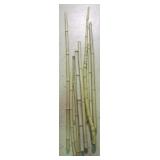 Lot of Bamboo Poles - assorted sizes