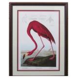 Pink Flamingo by John J. Audubon