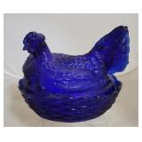 Large blue hen on nest