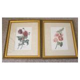 Pair of Framed Prints