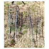Lot of Steel Wire Round Tomato Cages