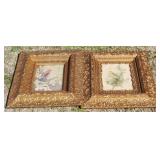 Pair of Framed Bird Prints