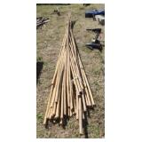 Lot of Bambo Poles