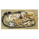 Lot of Assorted Costume Jewelry