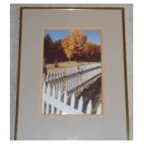 Framed Print