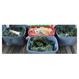 Lot of 4 totes full of Christmas decorations