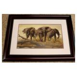 Andrew Bone Grey Tree Frog print signed