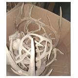 3 Box Lots of Deer Horns/Antlers