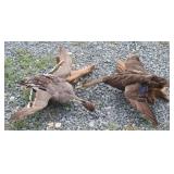 Pair of Taxidermied Ducks