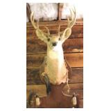 Deer Mount