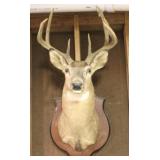 Deer Mount - 18 x 26