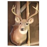 Deer Mount