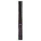 Police Baton