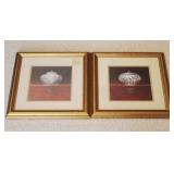 Pair of Framed Prints