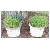 Pair Potted Plants with Planters