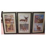 3 framed deer prints