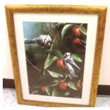 Framed Print - blue jays & apple tree