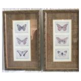 Pair of Butterfly Prints
