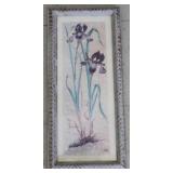 Framed Print - Iris