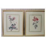 Pair of Matching Frames