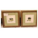 Pair of Framed Fruit Prints