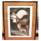 Barn Owl by John J Audubon