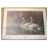 Ducks Unlimited Coca-Cola print