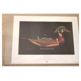 Ducks Unlimited Coca-Cola print