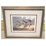 Framed & signed print