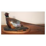 Ducks Unlimited Chris Olsol bird