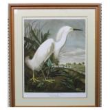 SNOWY HERON BY JOHN J. AUDUBON